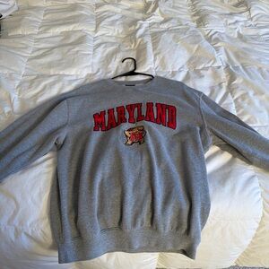 Maryland Crewneck Sweater in Gray